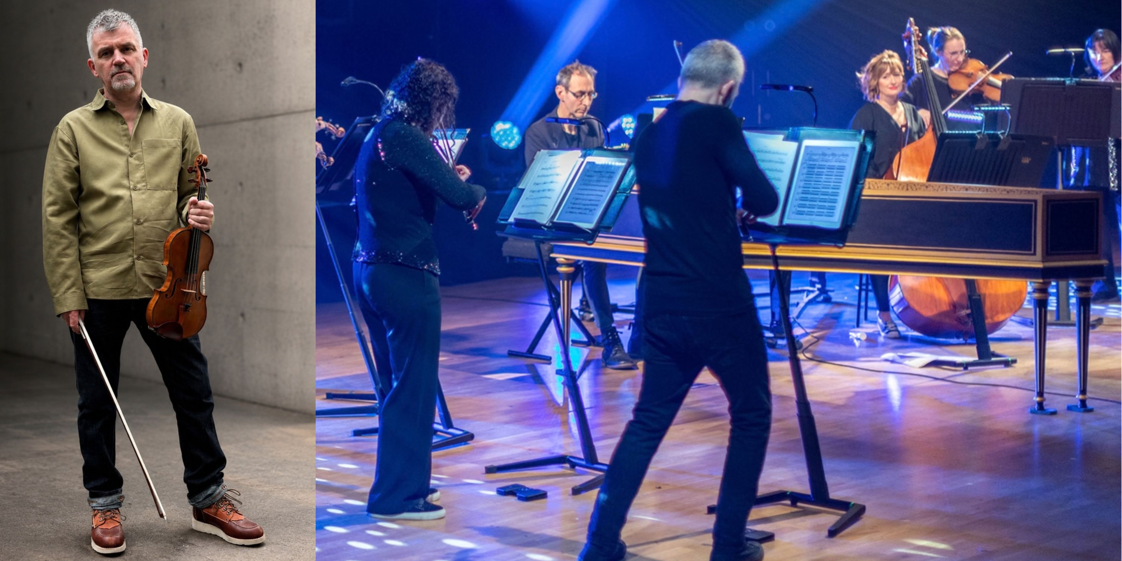 Promotional image of Dorking Concertgoers: Orchestra of the Swan